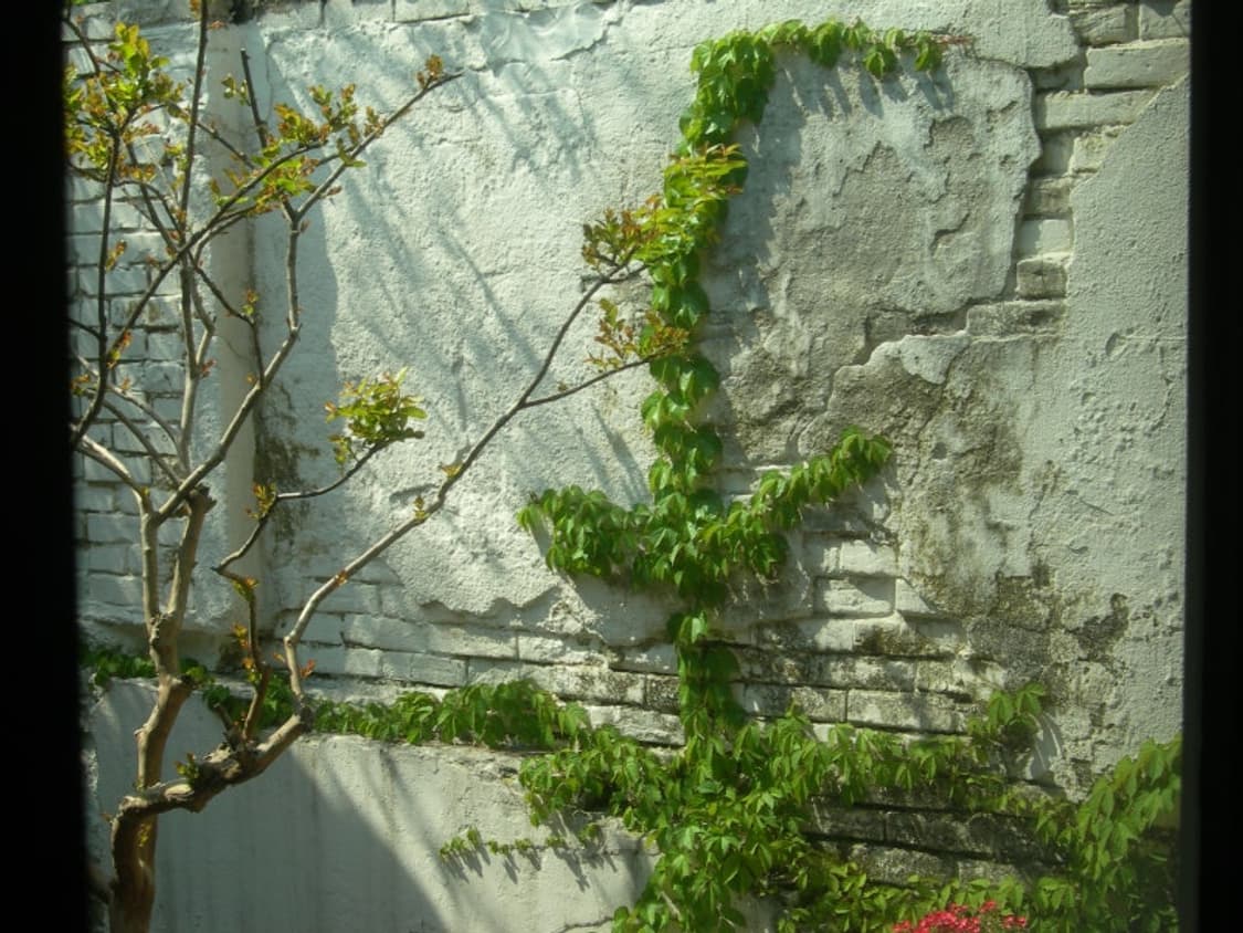 니콘 쿨픽스7900 빈티지디카 상품이미지2