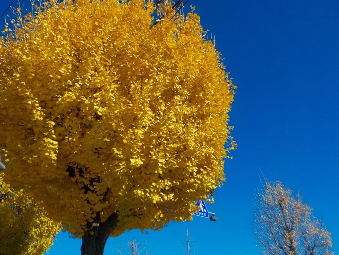 니콘 쿨픽스 s32 엔믹스 해원 방수 디카 상품이미지8