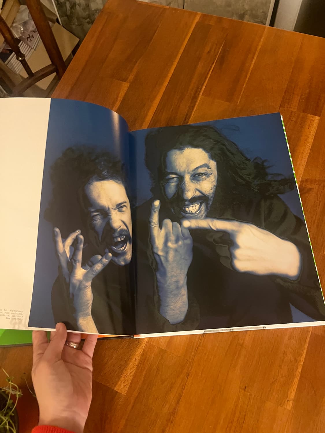 리차드 아베돈의 사진집, The Sixties  상품이미지2