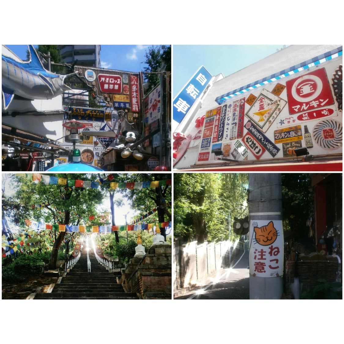 올림푸스 VG-130 핑크 빈티지디카 상품이미지2