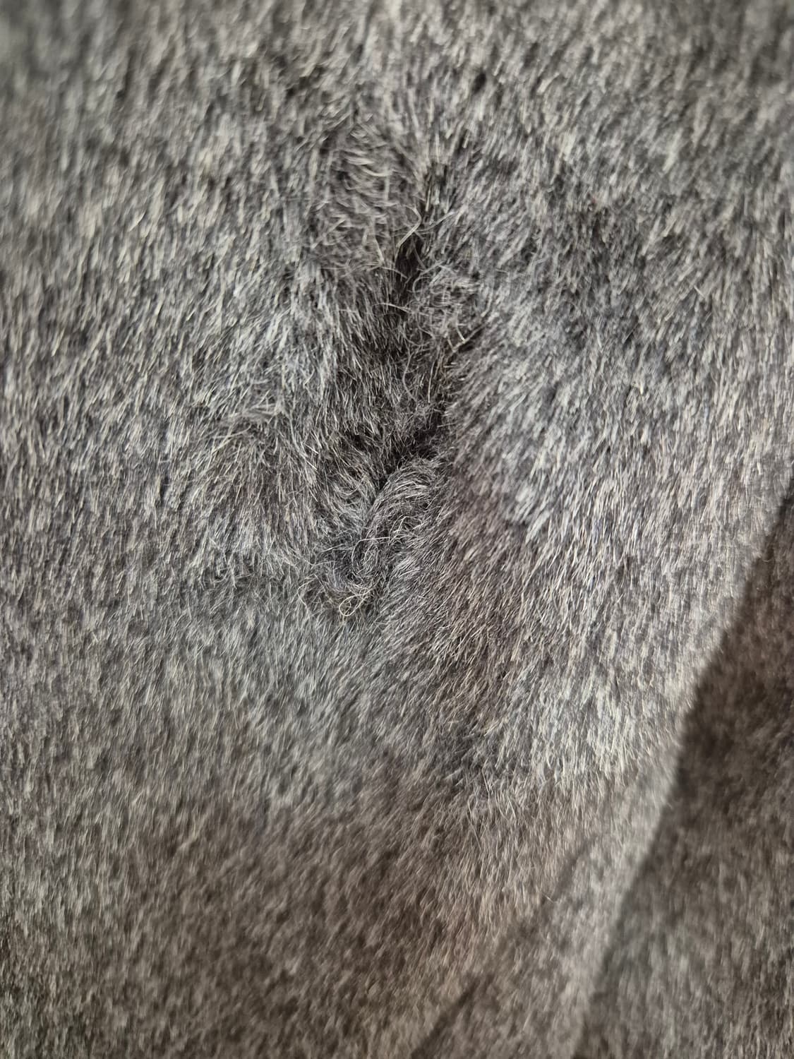 타임 그레이 울 코트 105 사이즈 상품이미지3