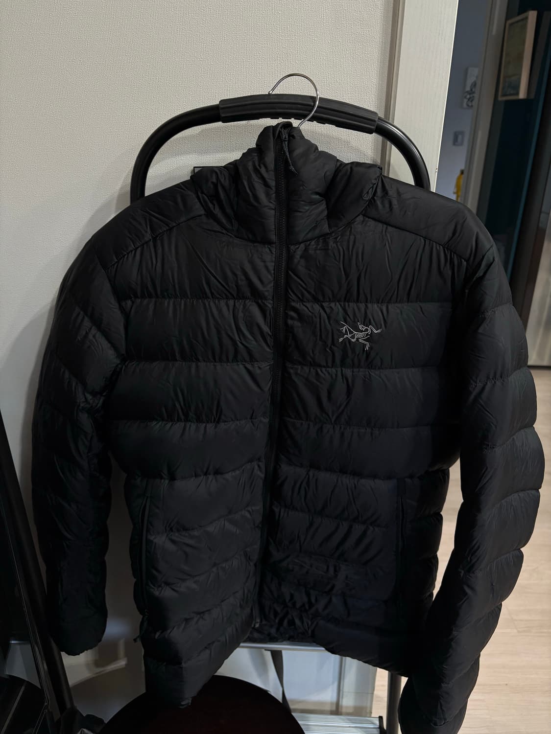 아크테릭스 세륨 후디 남성S 상품이미지1