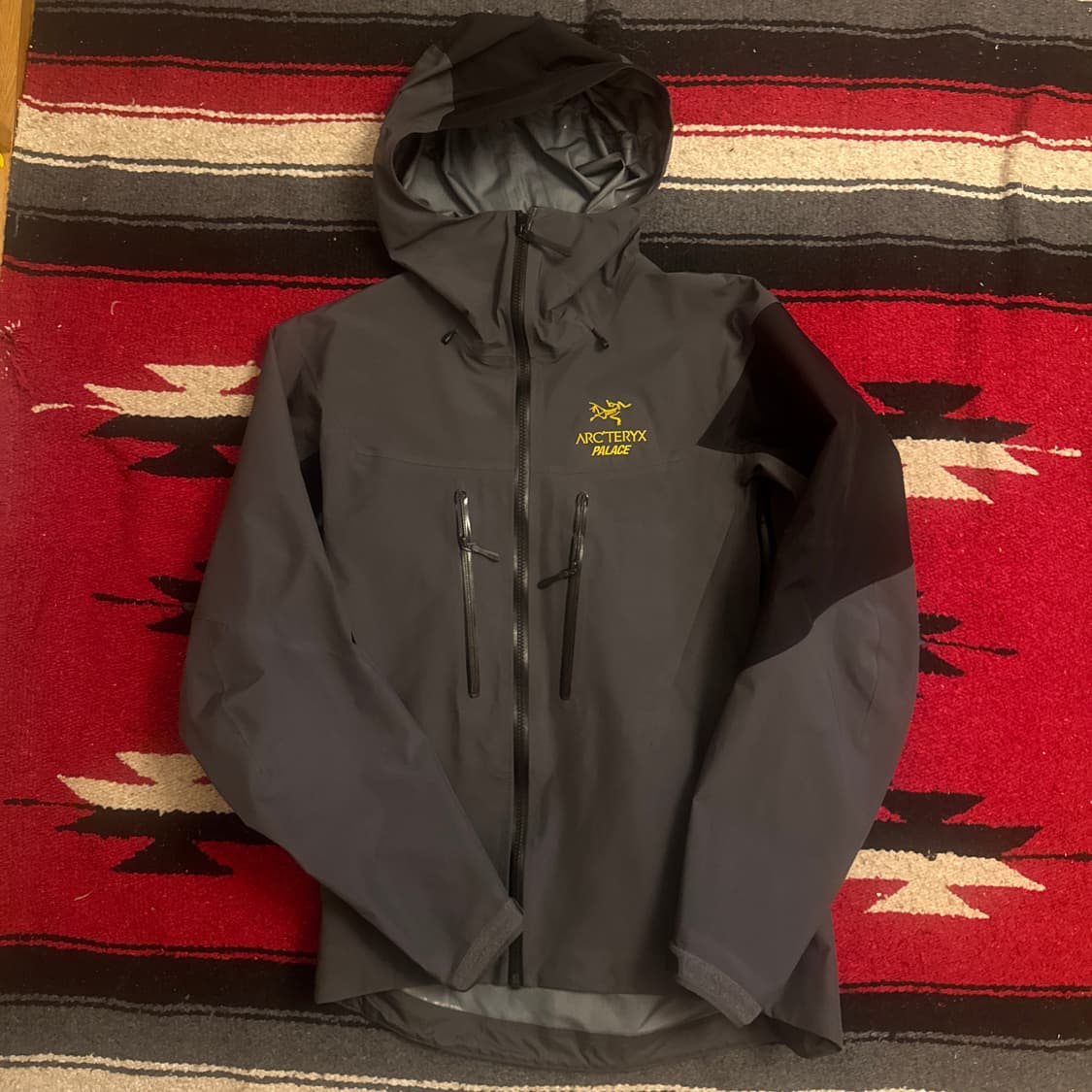 아크테릭스 팔라스 sv 상품이미지1