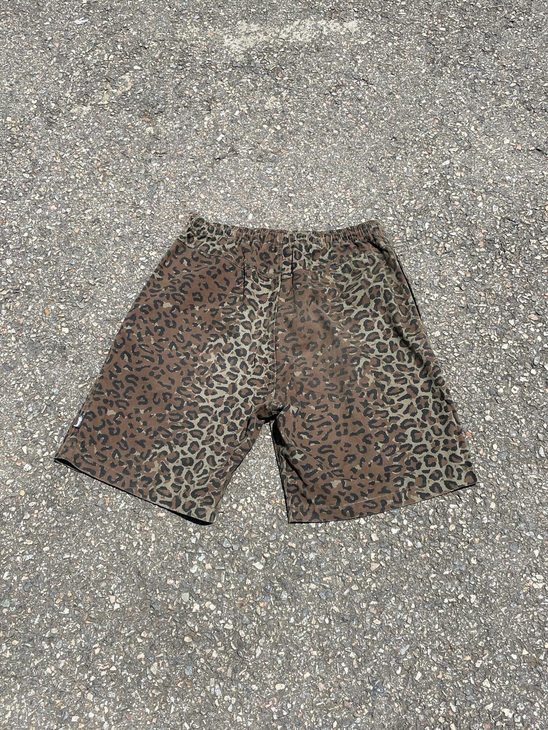 Stüssy Japan Leopard Beach Shorts (L) 상품이미지5