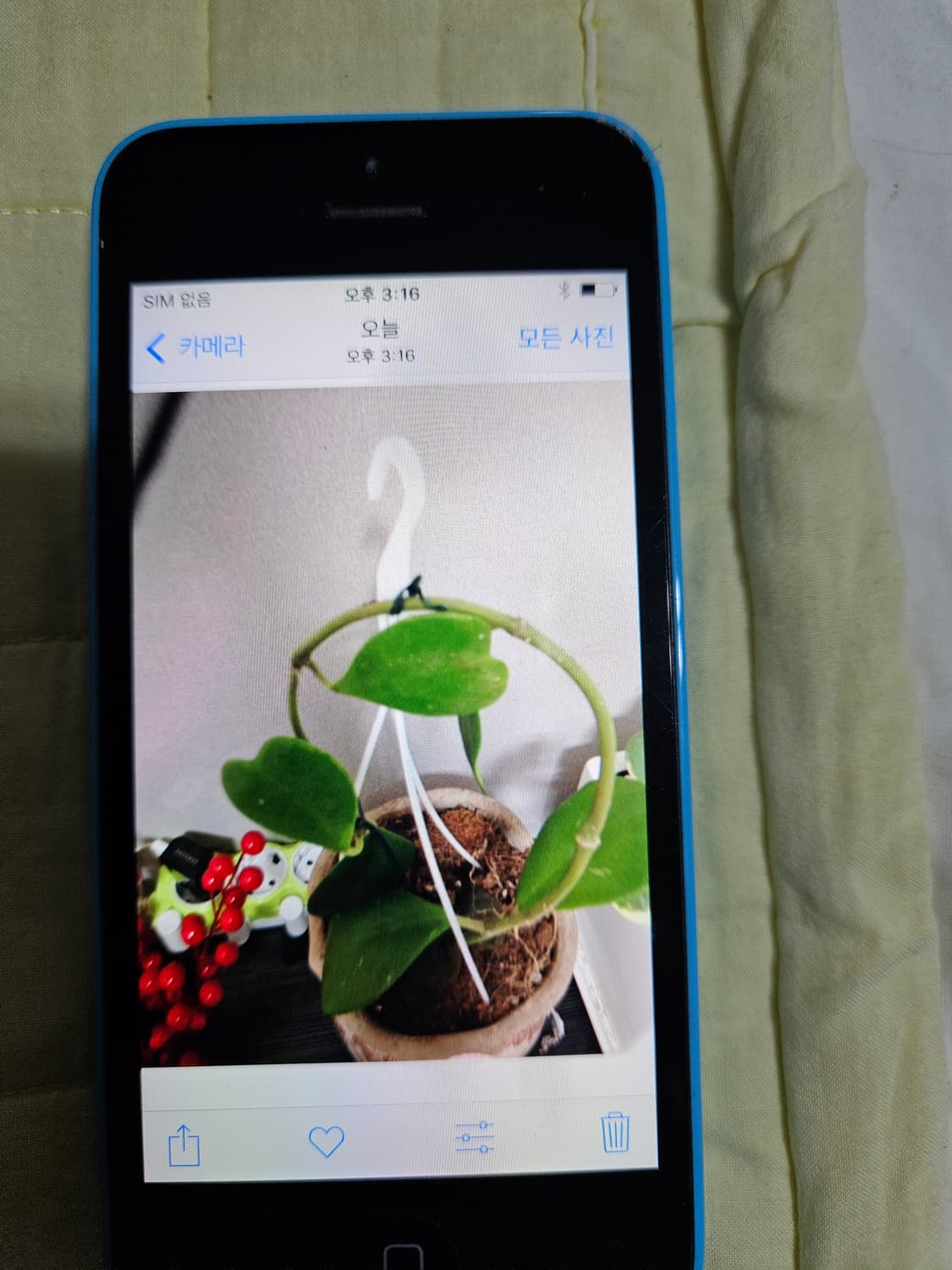 아이폰 5c  상품이미지8