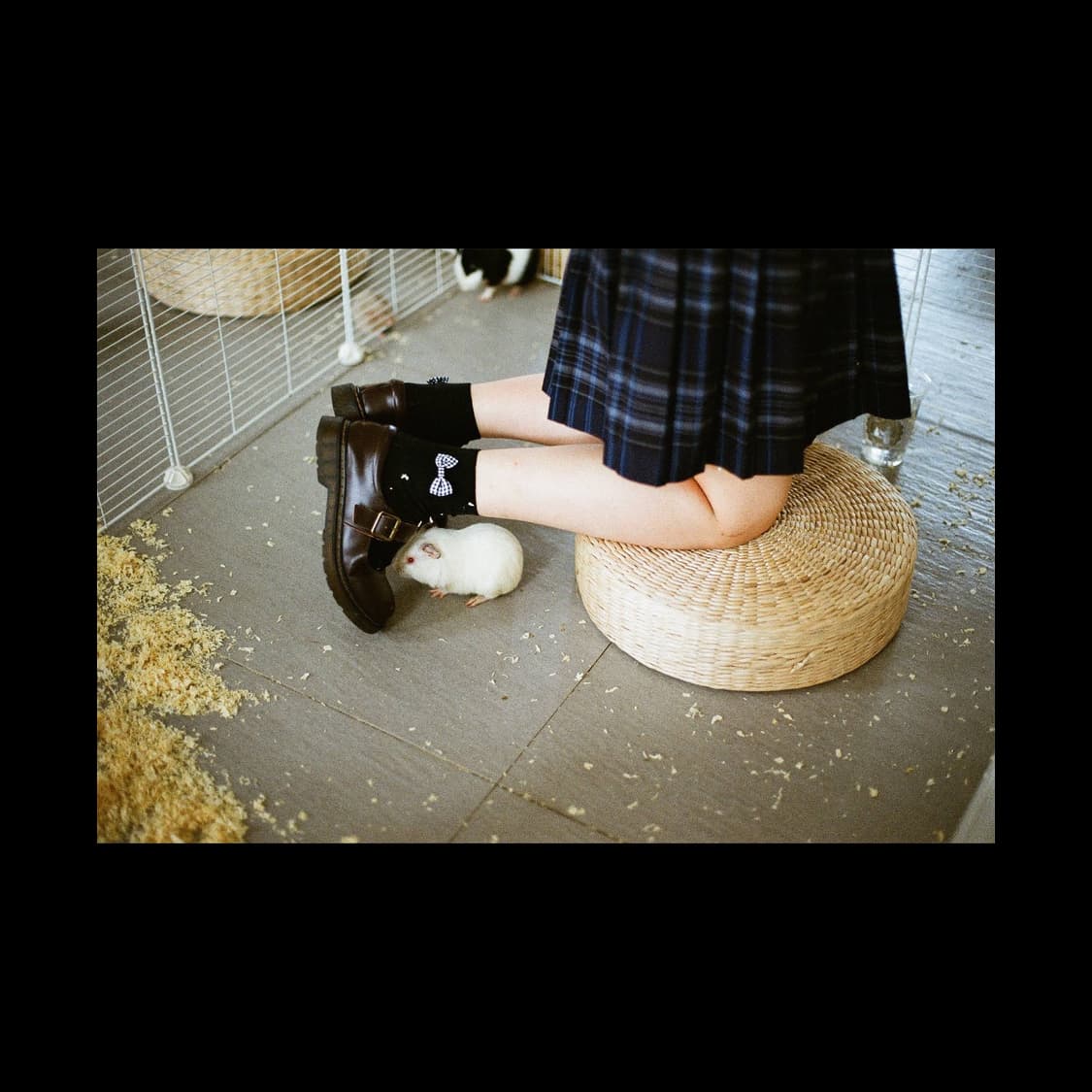 캐논 eos55 50mm1.8 (작례0) 상품이미지2