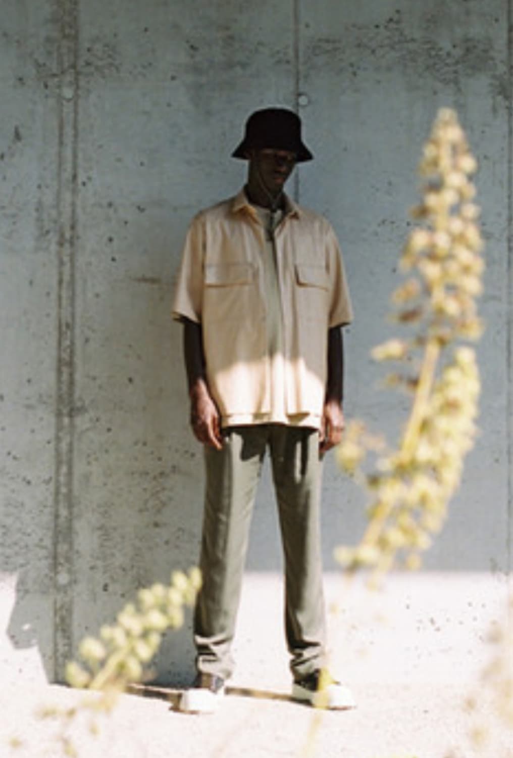 Hienle paul pants Olive 상품이미지7
