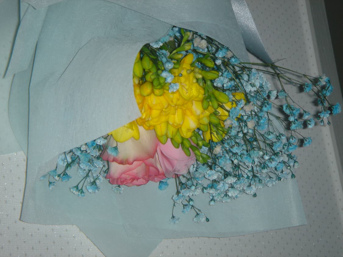 소니 사이버샷 T11 상품이미지10