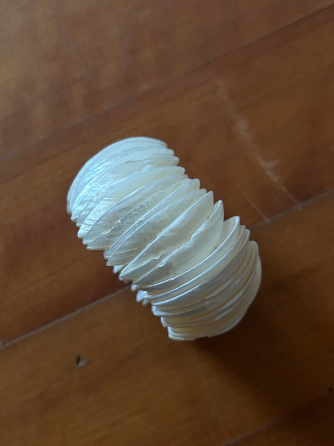 shell disc bangle  상품이미지4