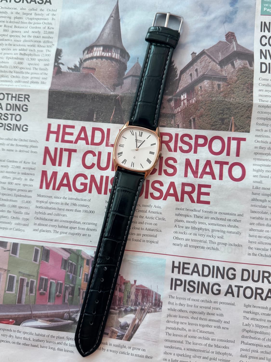 Seiko 세이코 로만 인덱스 스퀘어 쿼츠 상품이미지2