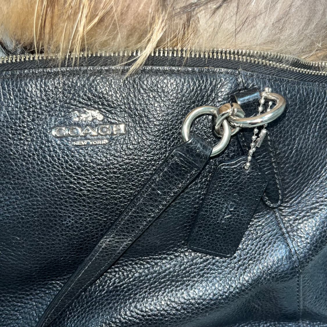 Coach  상품이미지3