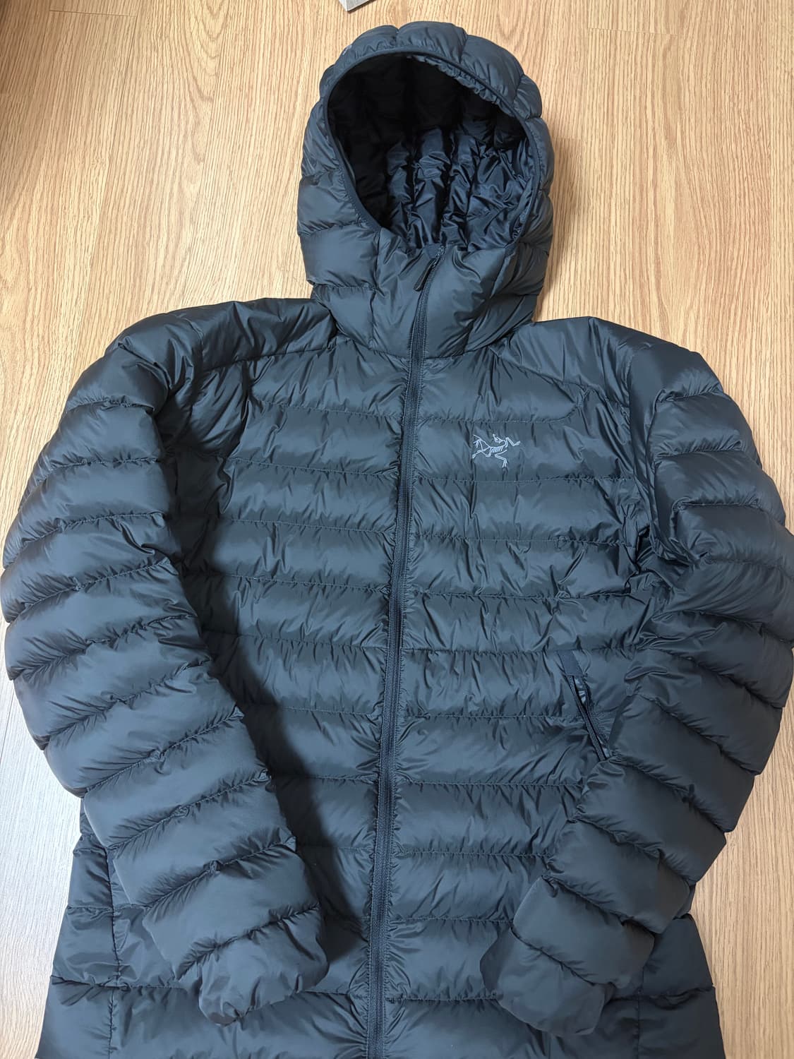 아크테릭스 세륨 후디 M 블랙 상품이미지1