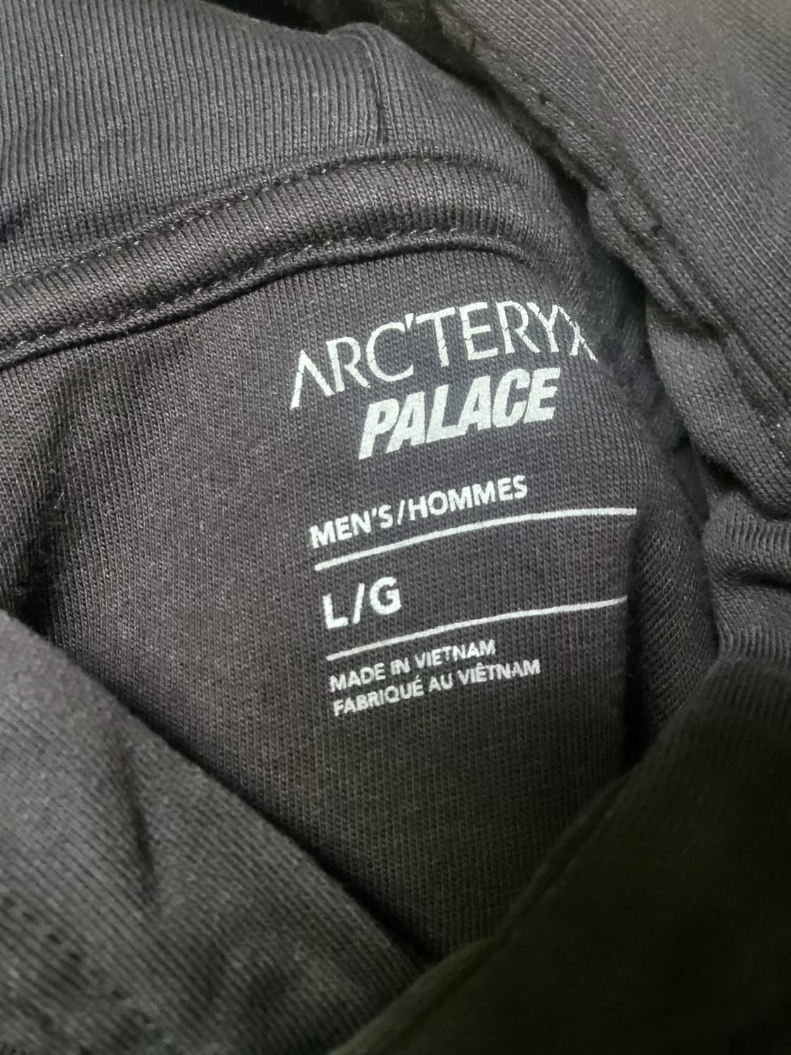 아크테릭스X팔라스 후드티 상품이미지3