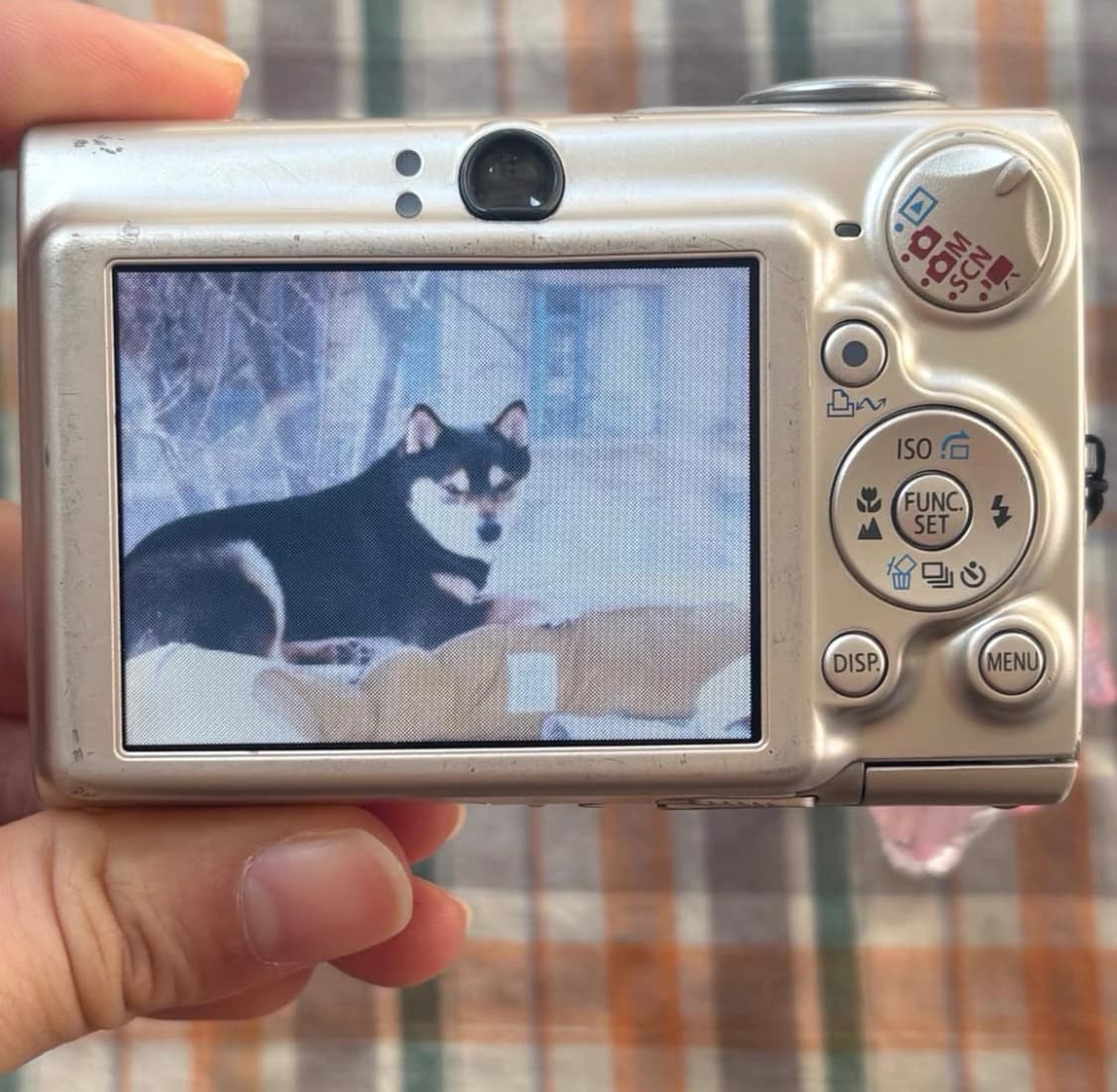 캐논 익시 700 (캐논 익서스 750 IXUS 750) 빈티지 디카 상품이미지8