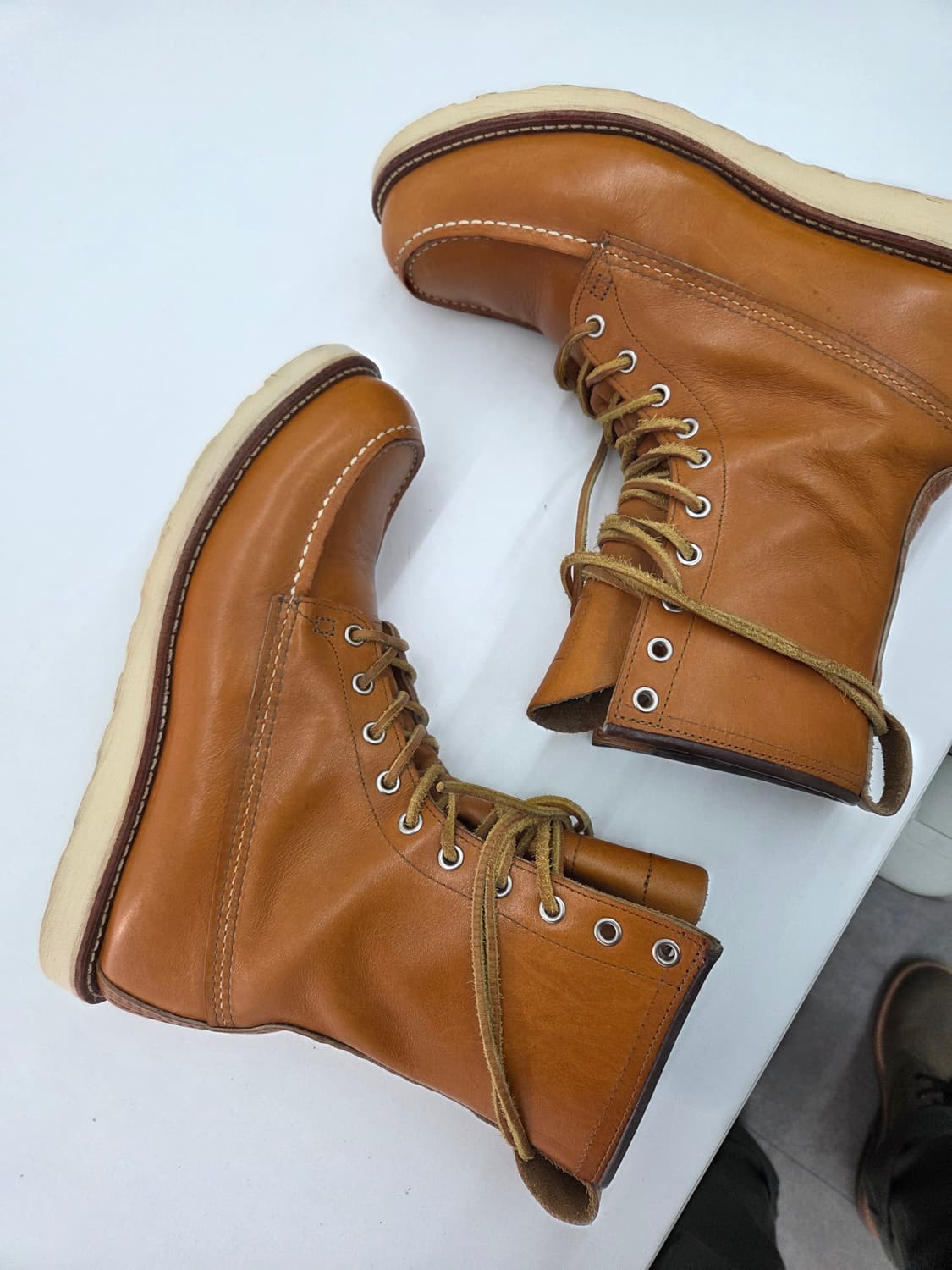 레드윙 9877 아이리시세터 9.5d 상품이미지2