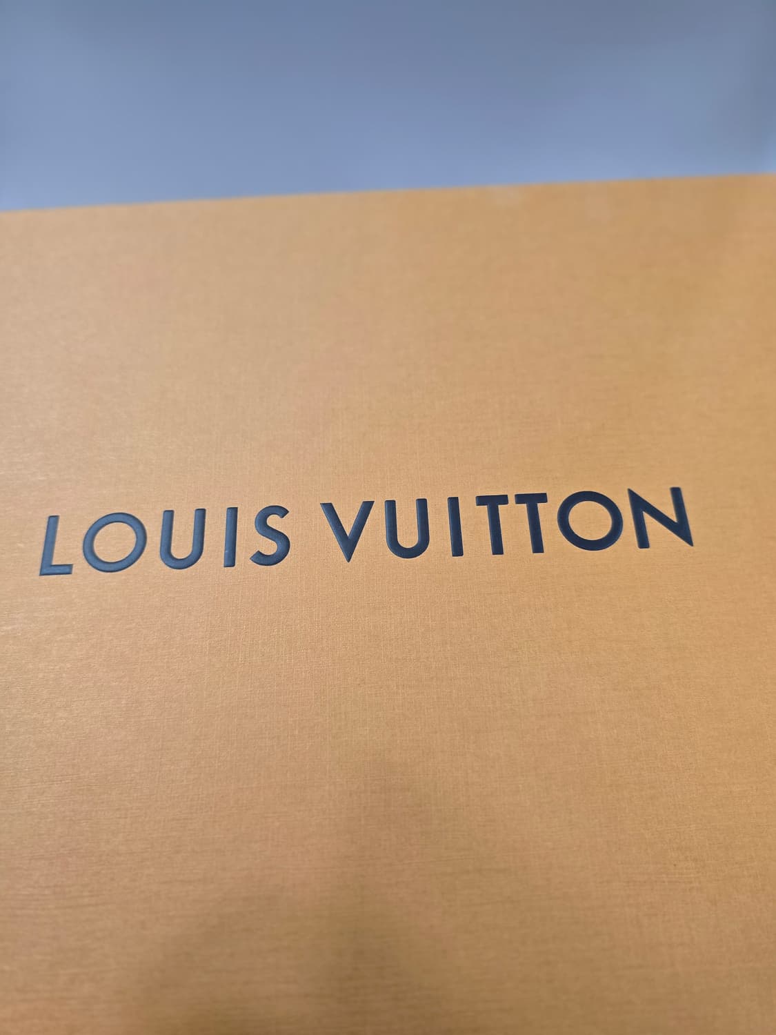 루이비통 LV트레이너 새상품 상품이미지6