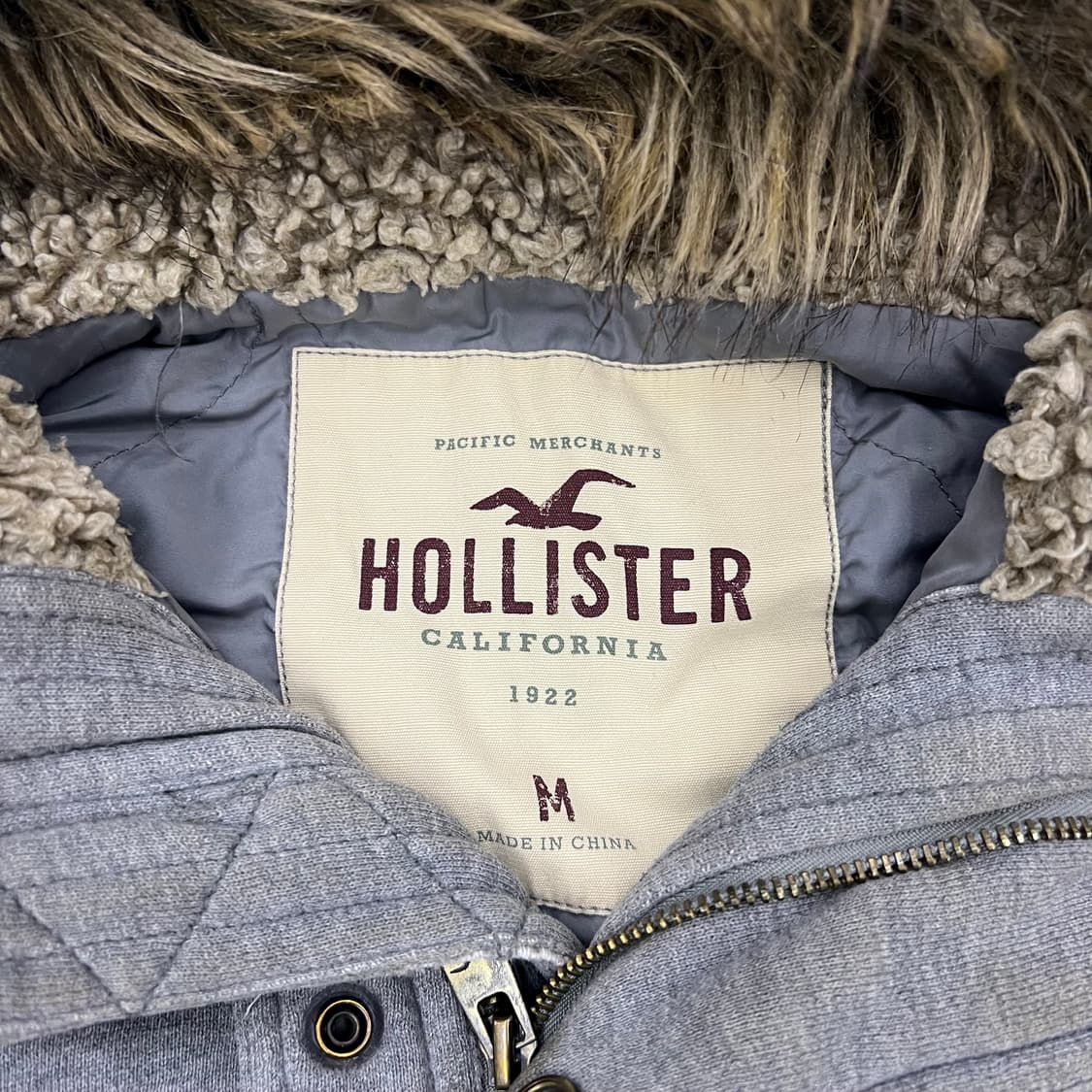 홀리스터 그레이 울프죠 상품이미지2