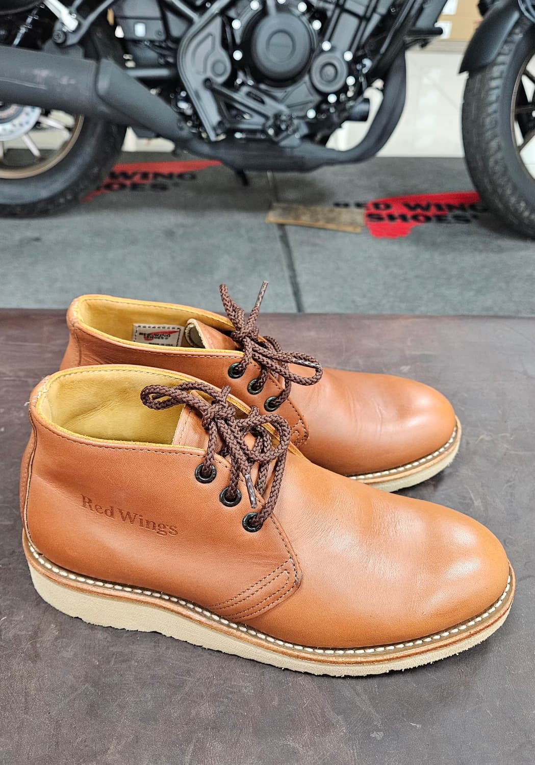 레드윙 처카 595,  남녀공용  상품이미지2