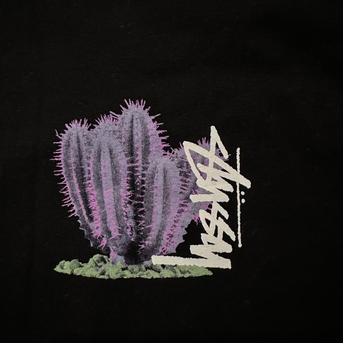 스투시(Stussy) 21SS 데저트 블룸 반팔 티셔츠 상품이미지3