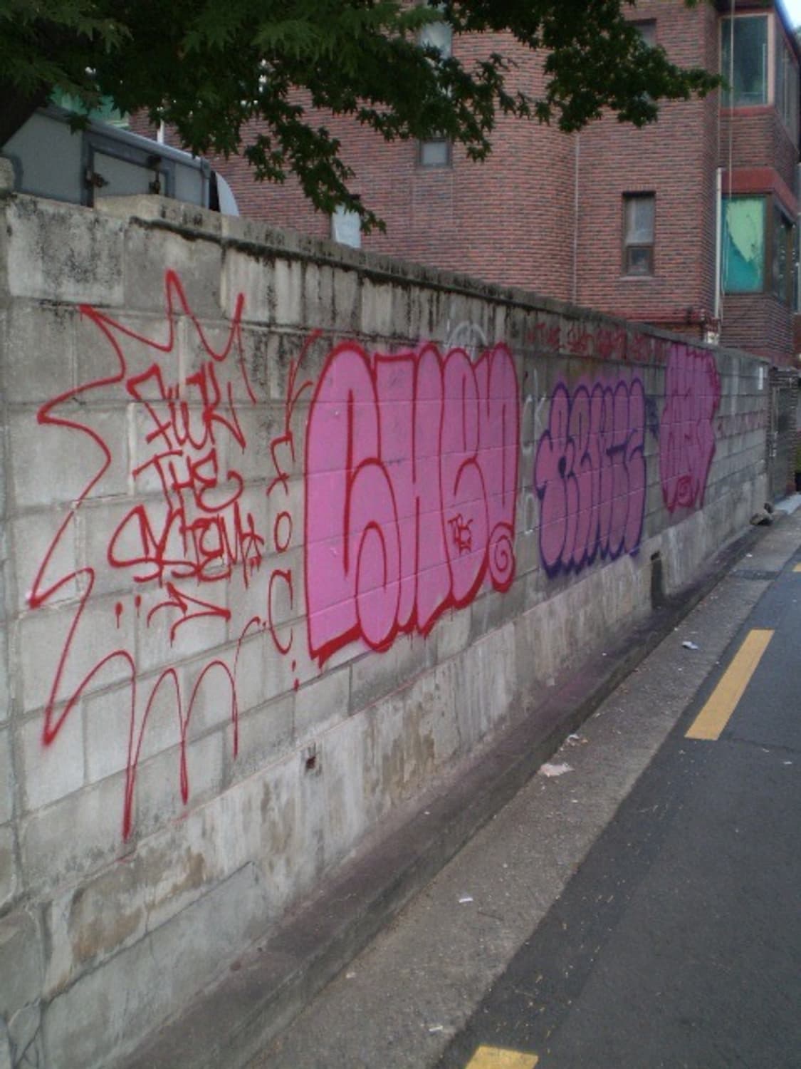 (작례O) 올림푸스 FE-210 빈티지 디카 상품이미지7