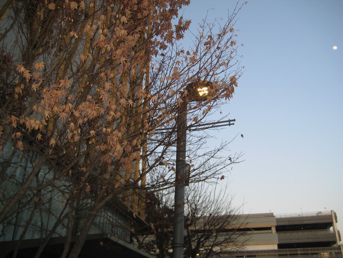 캐논 익시 10 실버 디카 상품이미지10