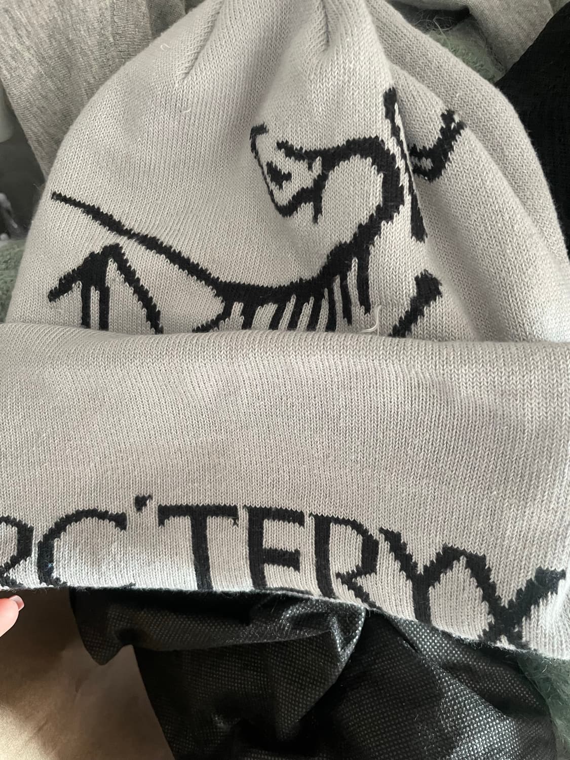 급처🙏아크테릭스 버드 워드 토크 오르카 비니 상품이미지2