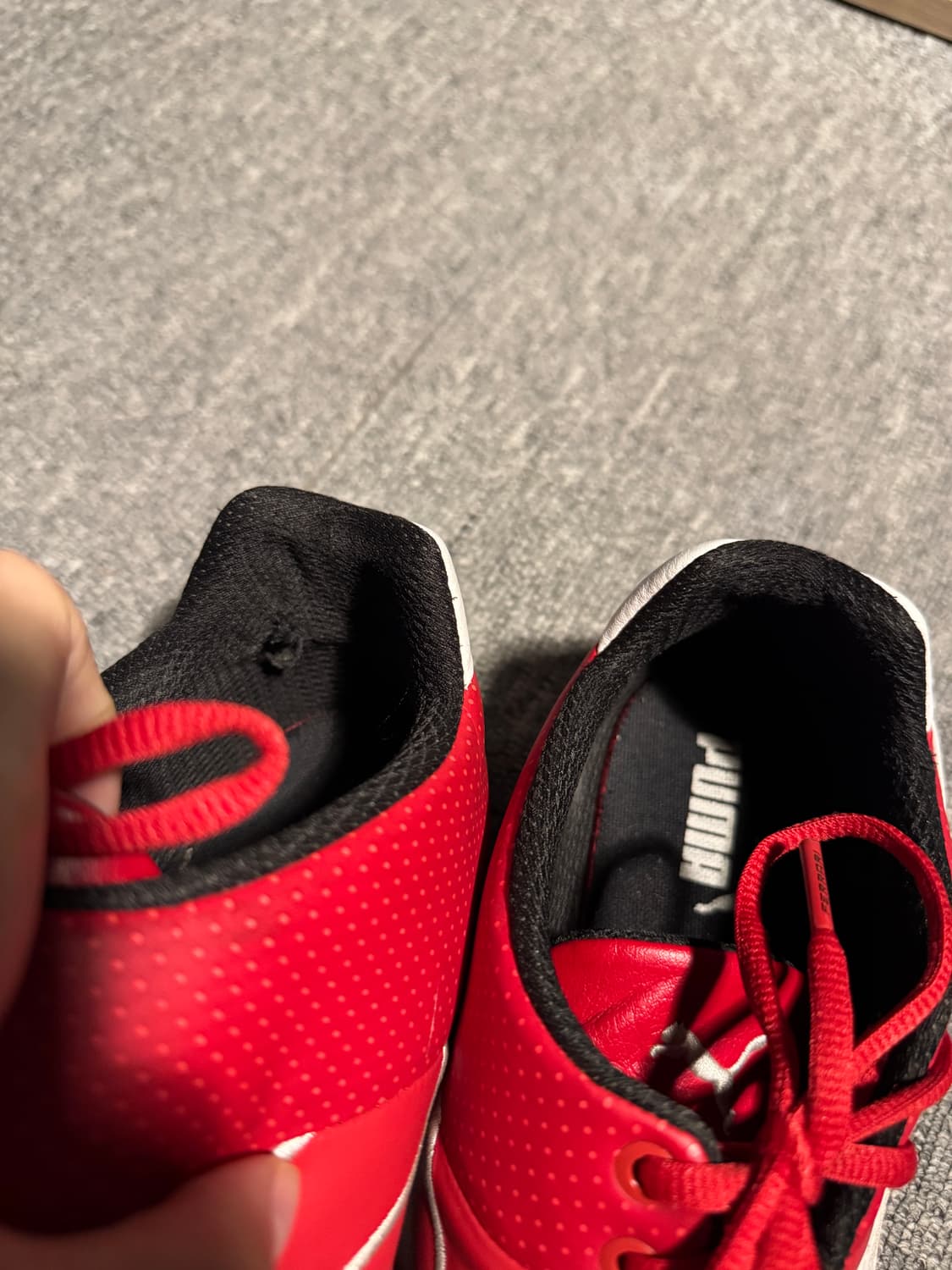 퓨마 페라리 퓨처캣 상품이미지8