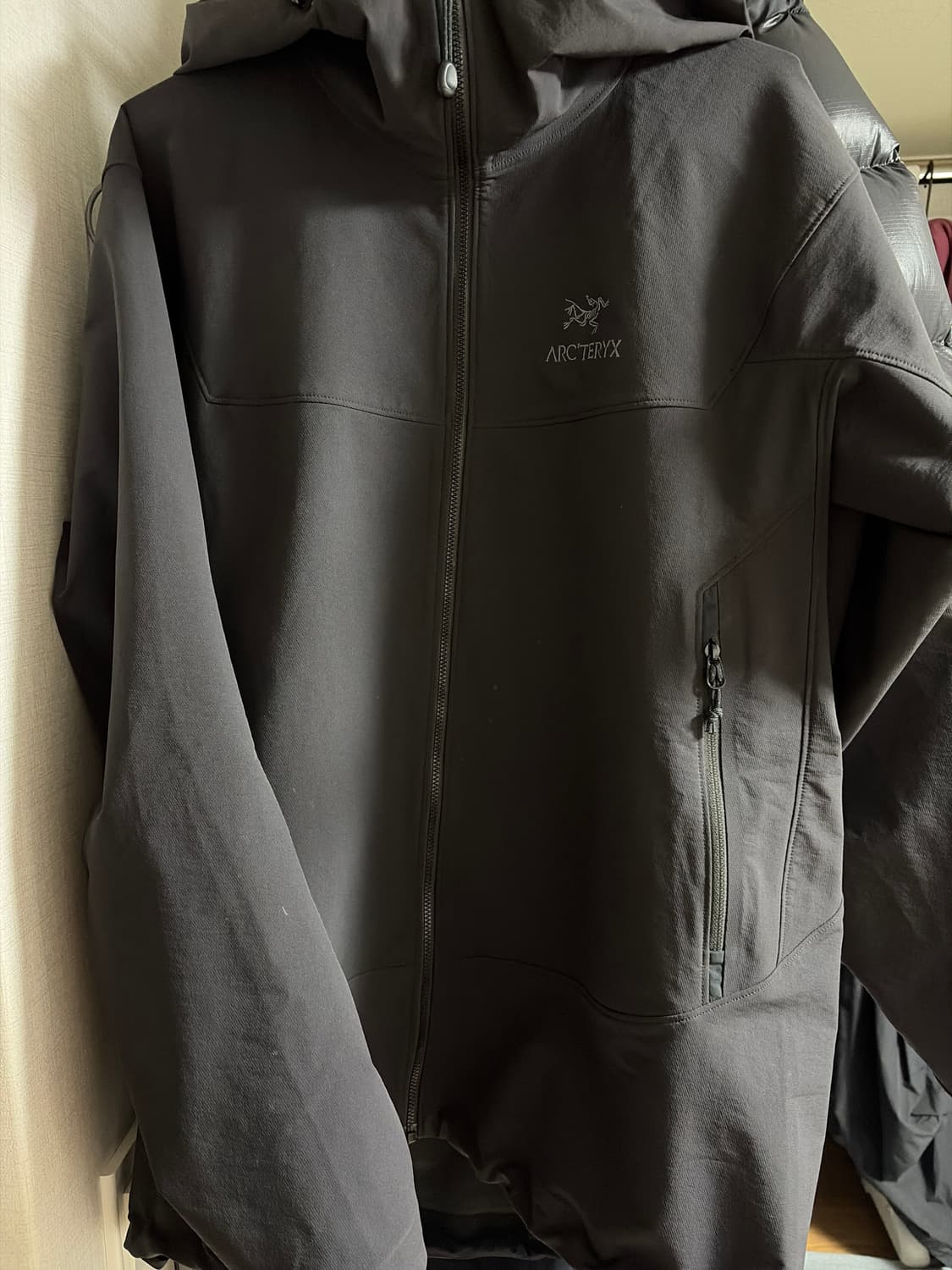 아크테릭스 감마 lt 급처 상품이미지2