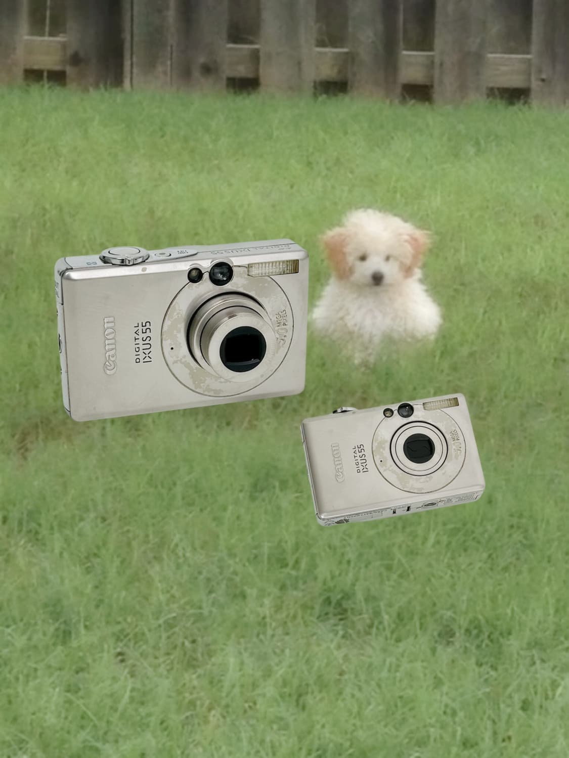 아이유디카!) 캐논 익서스55 익시60 빈티지 디카 상품이미지1