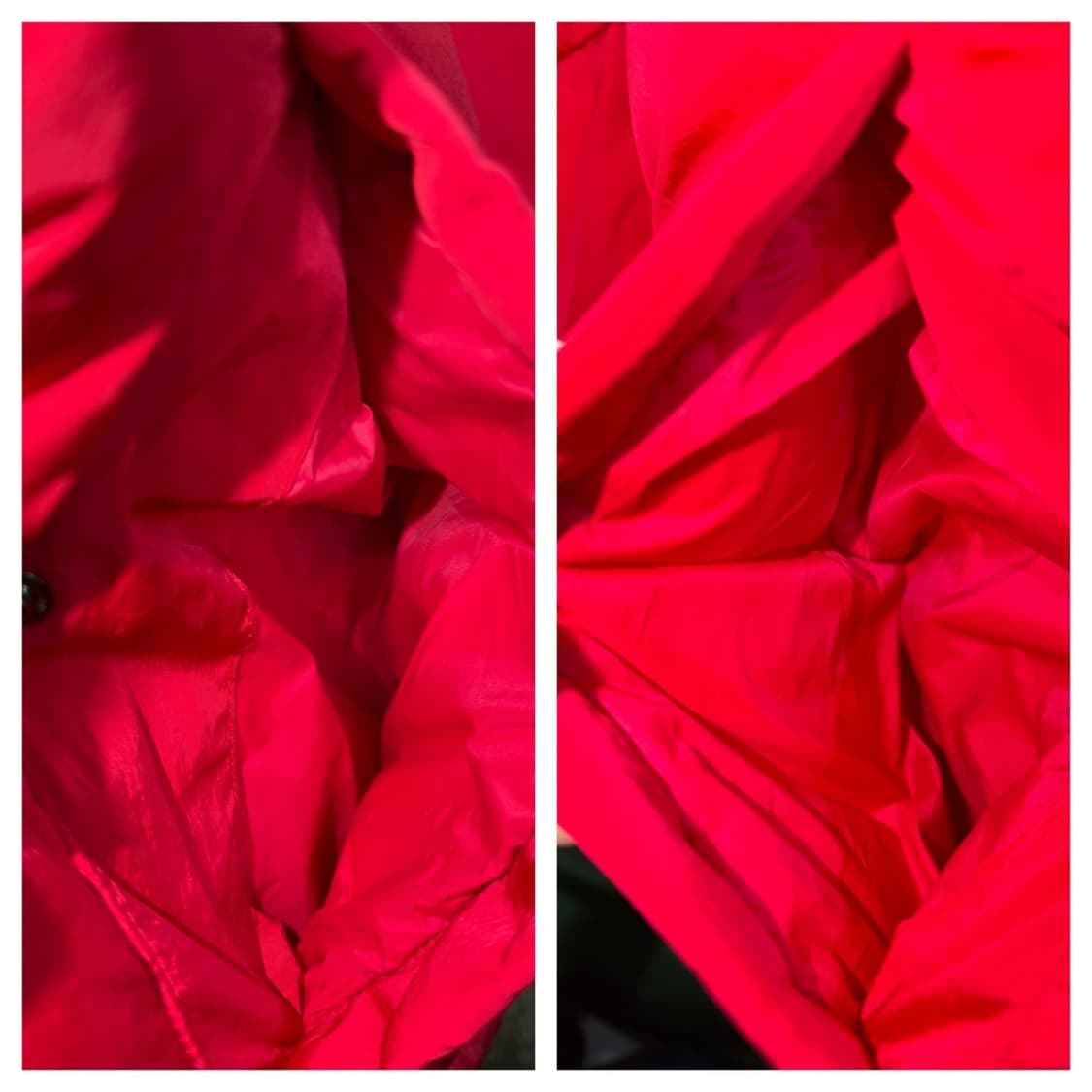 챔피온 푸퍼 패딩 M 상품이미지8