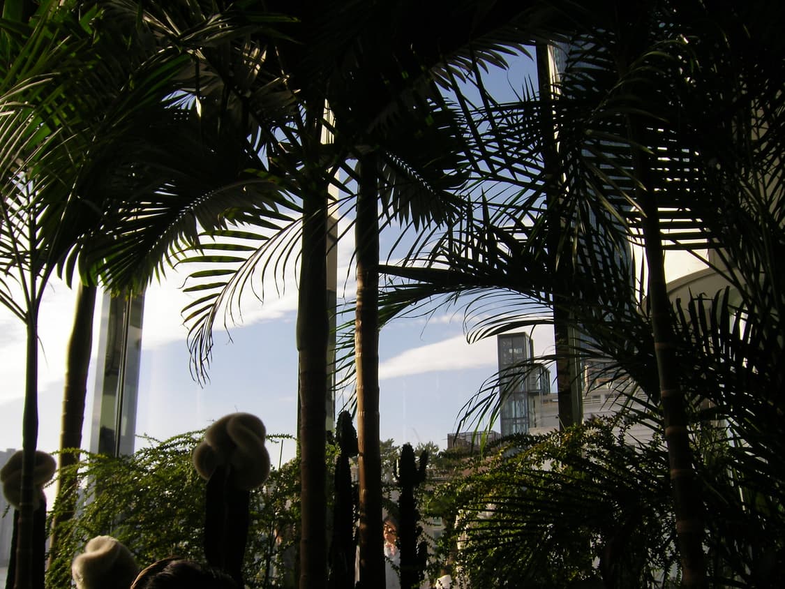 Kodak EasyShare LS755 디카 상품이미지4