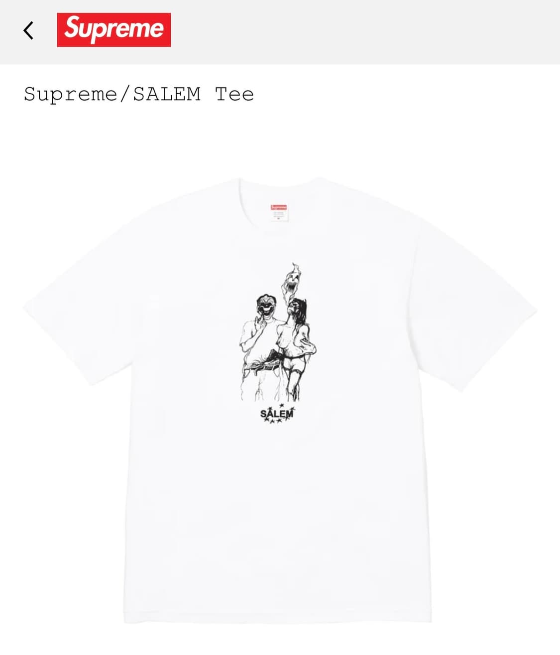 Supreme x SALEM tee 상품이미지1