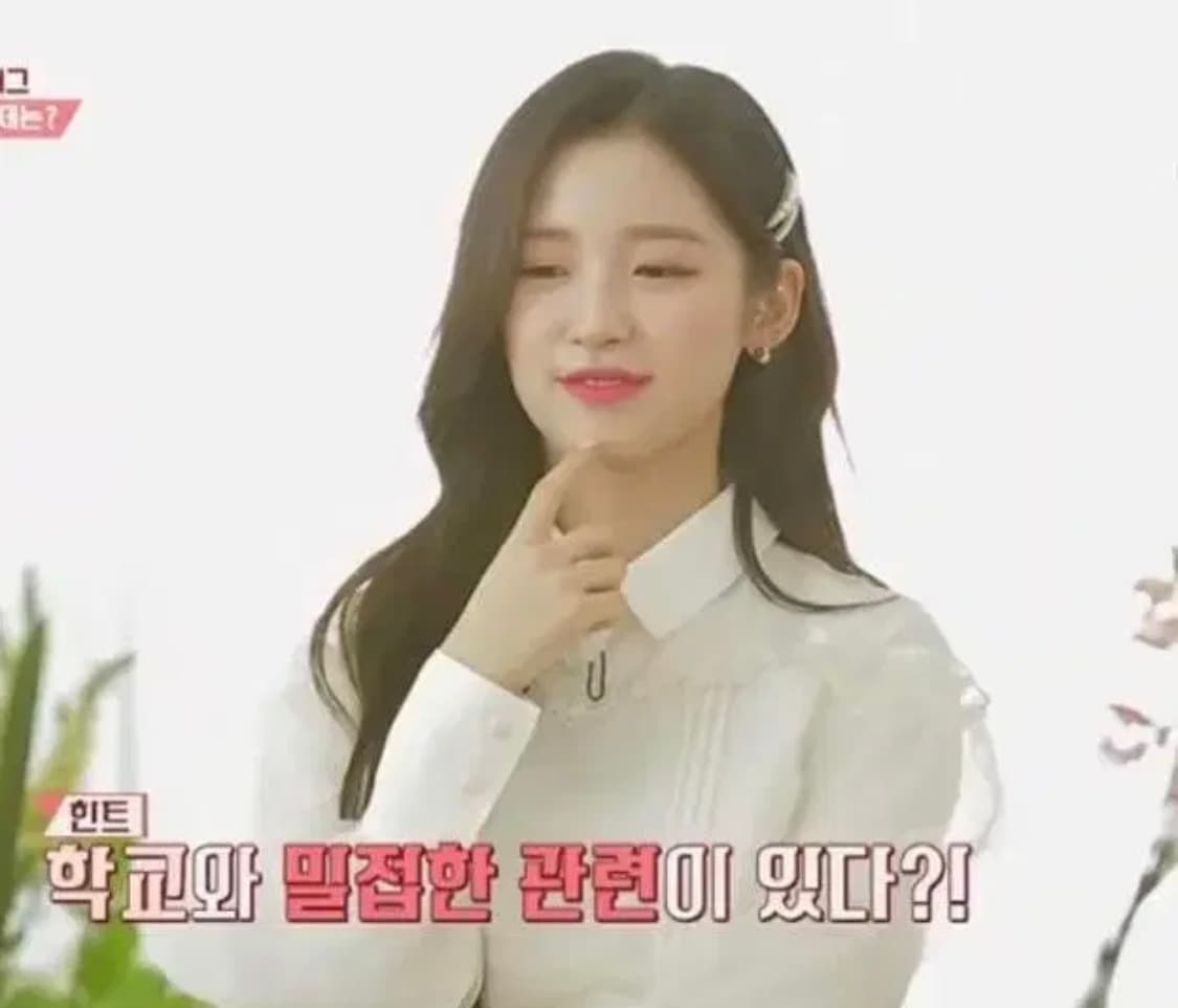 낫유어로즈 오간자 원피스 택달린 새제품 (오마이걸아린착용) 상품이미지1