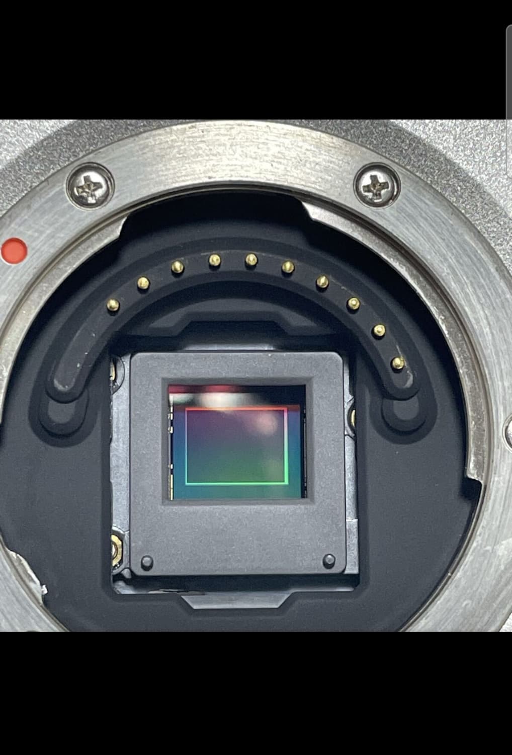 펜탁스 q10(일본판) 상품이미지7