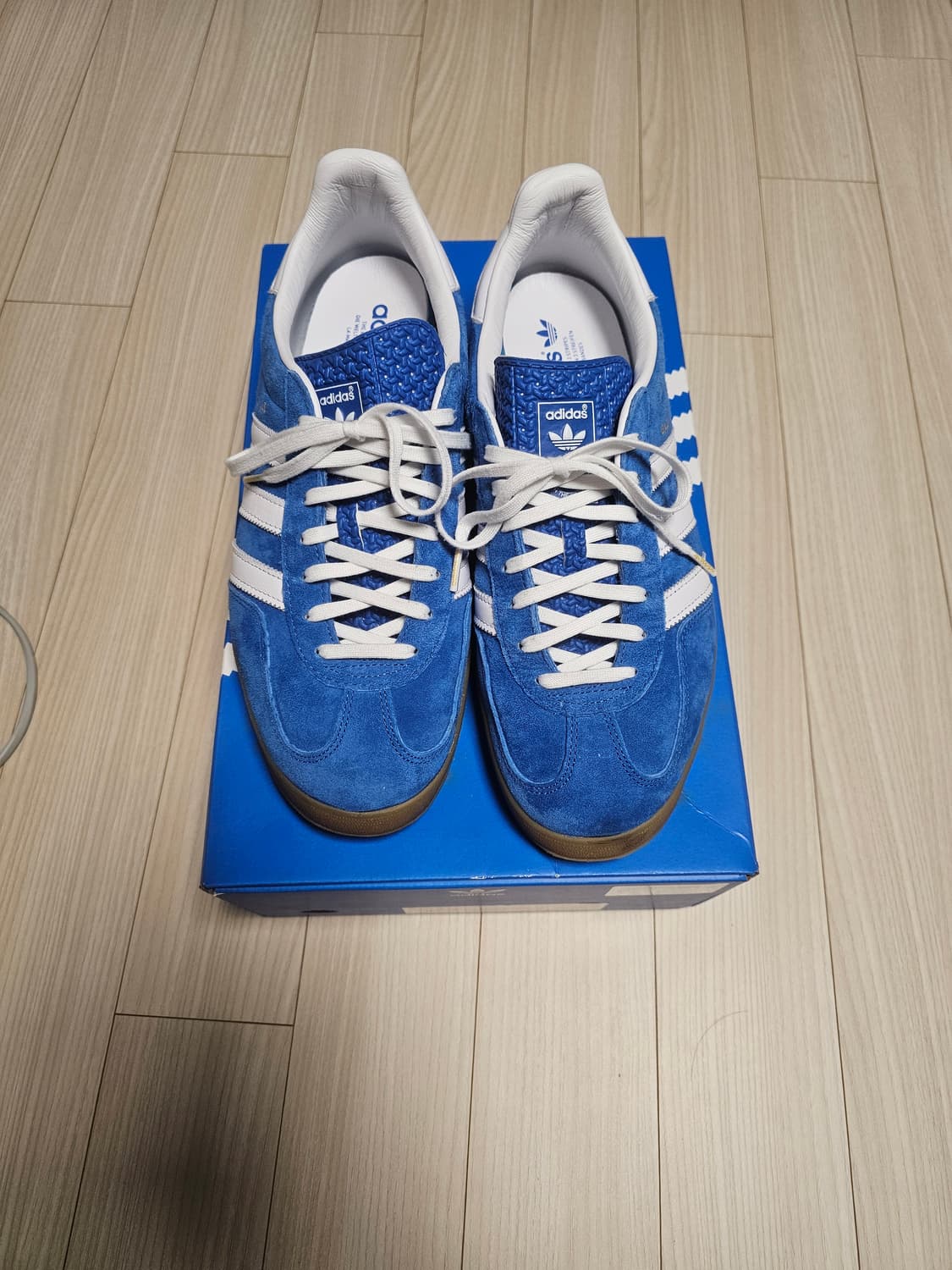 [285] 가젤 인도어 블루버드  상품이미지1