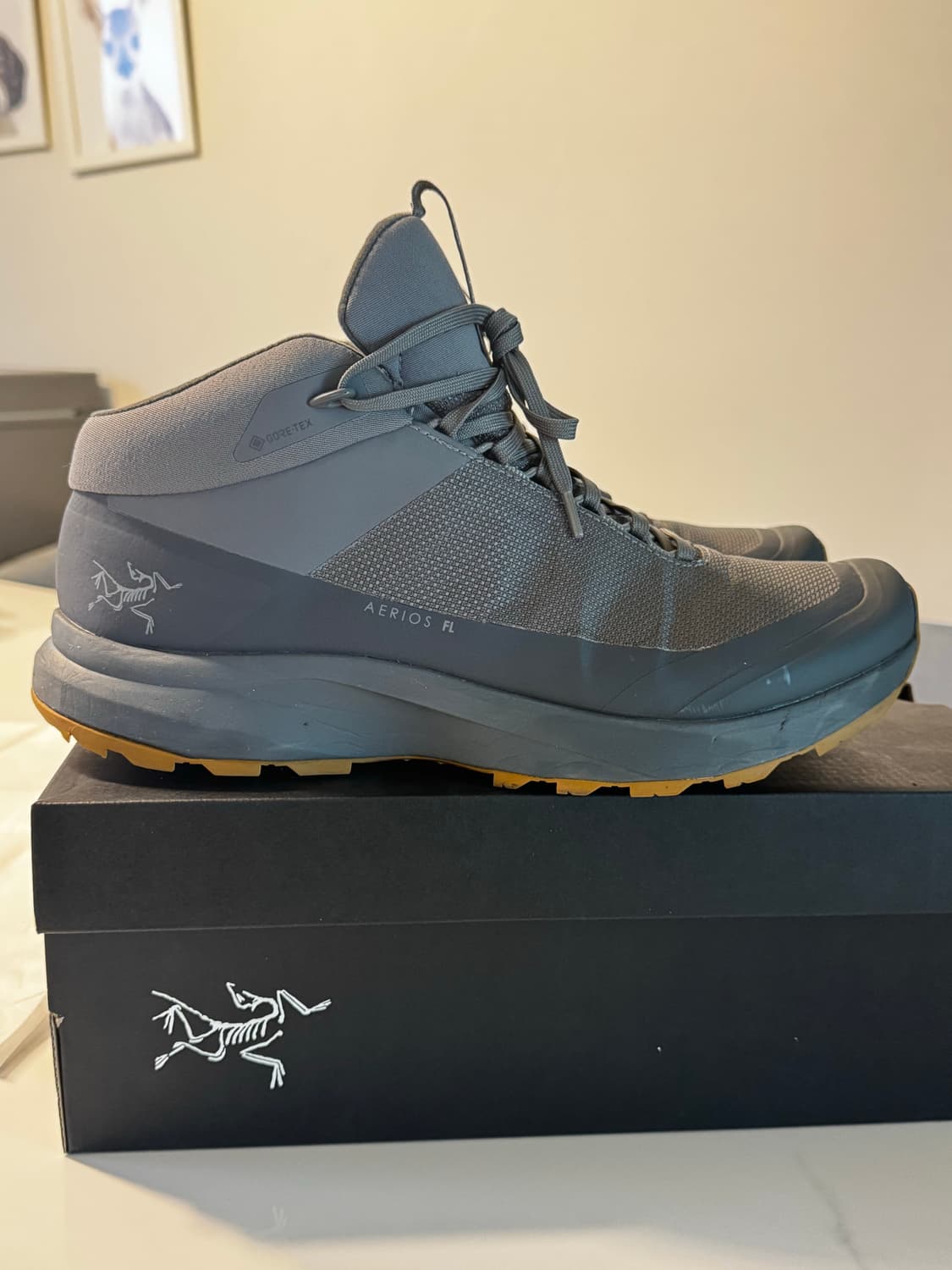 아크테릭스 에어리어스 미드 gtx FL2 size 270 상품이미지6