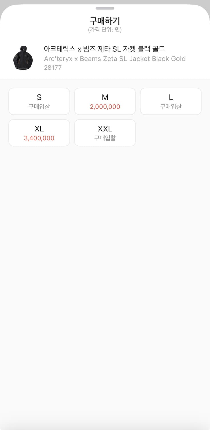 아크테릭스 빔즈 제타SL L사이즈 상품이미지9