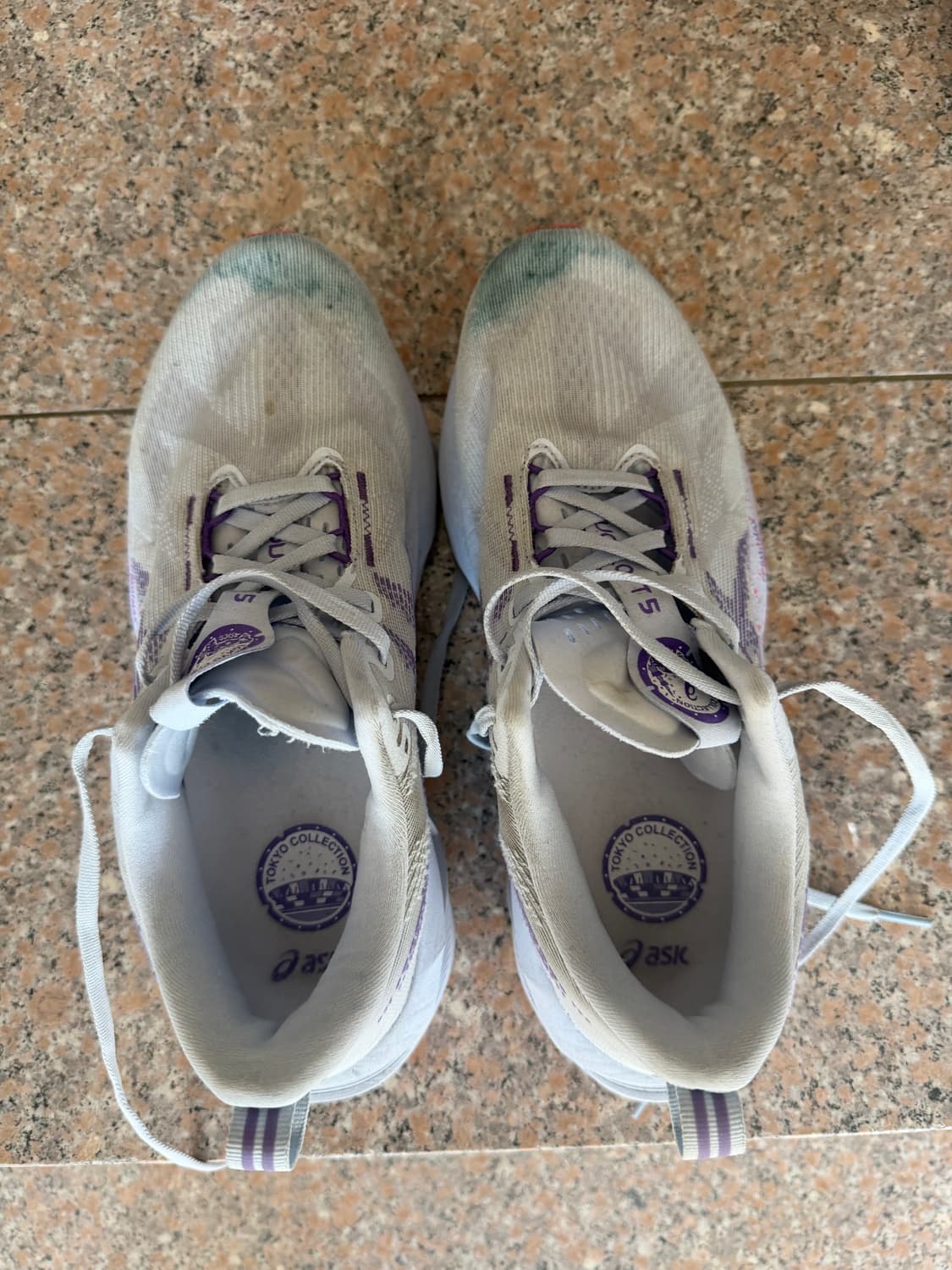 노바블라스트5 260 도쿄 상품이미지1