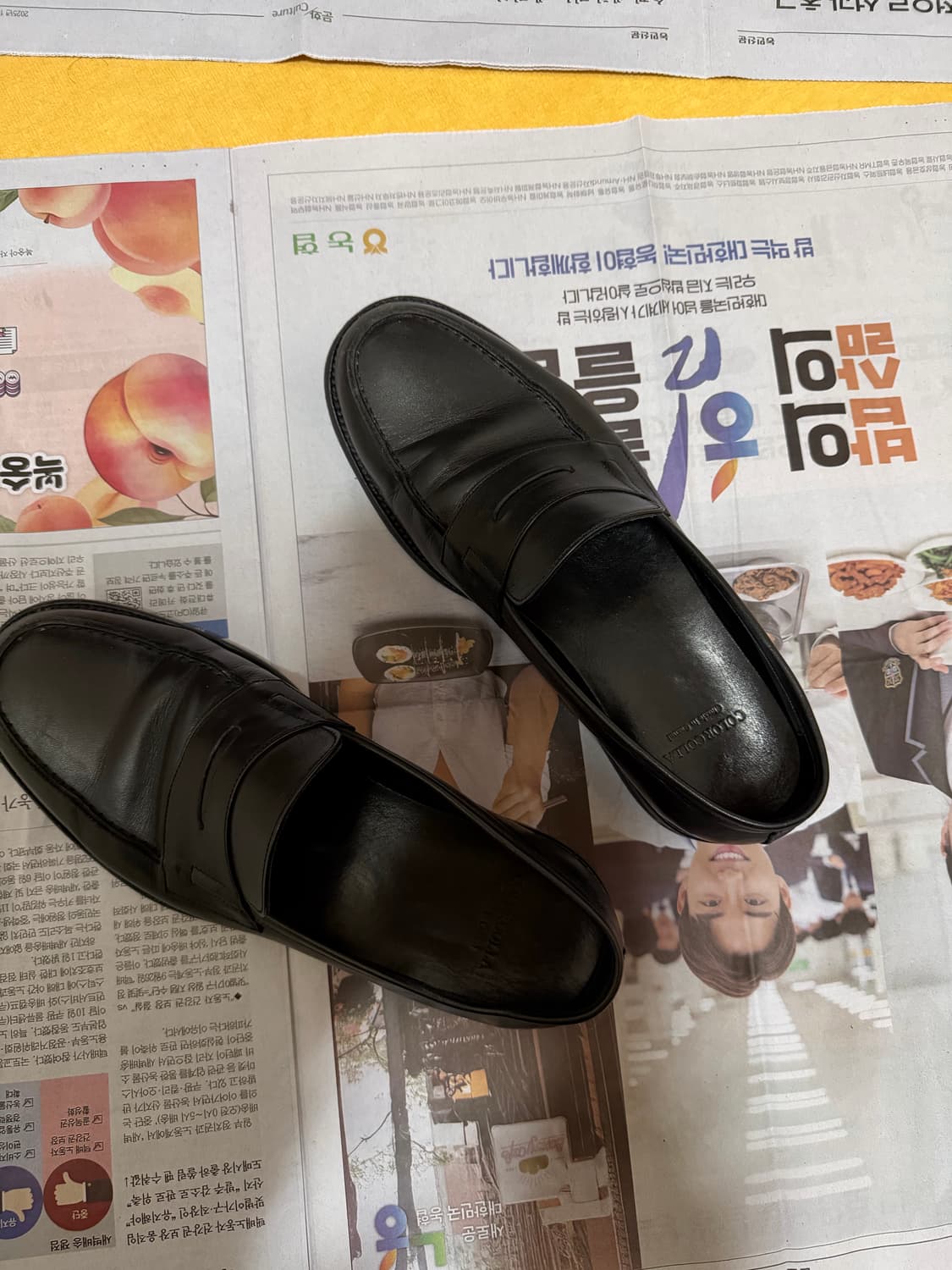 컬러콜라 10008 bk3 상품이미지6