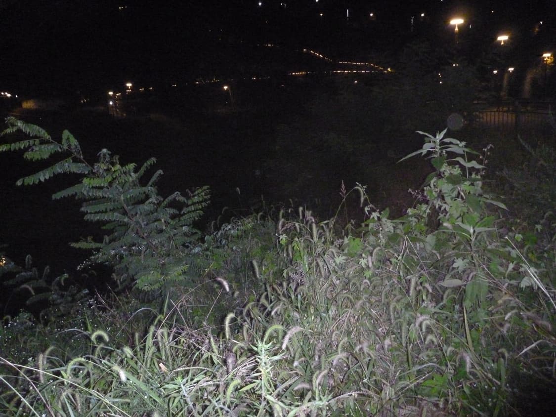 Parasonic LUMIX-FT2 디카 상품이미지4