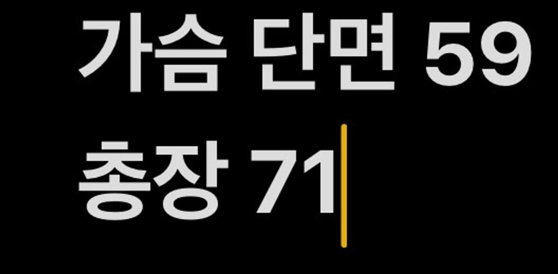 [ 정품/M ] 플랙 나일론 코튼 셔츠 b15 상품이미지7