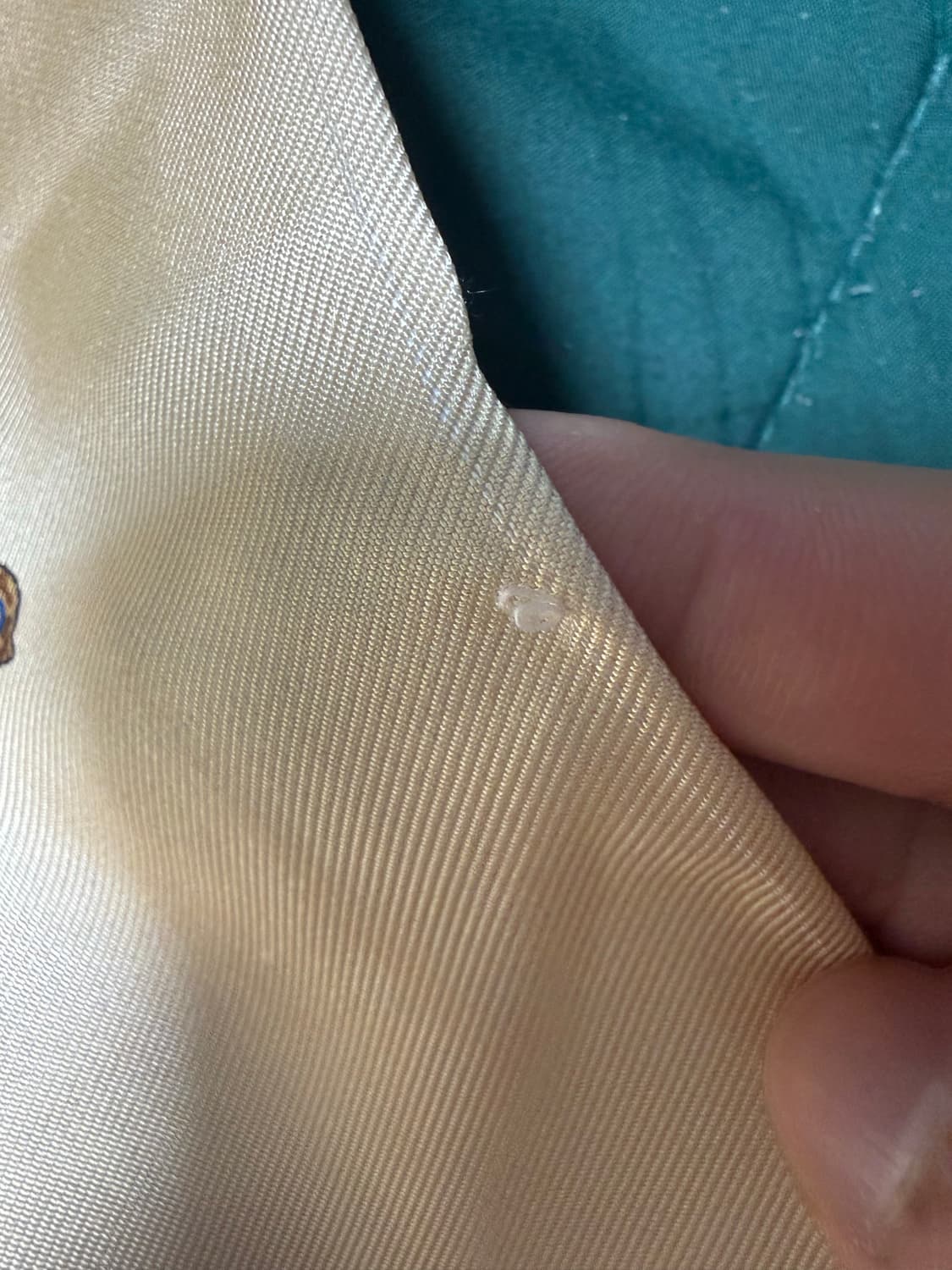 에임레온도르 드레익스 실크 스카프 상품이미지3