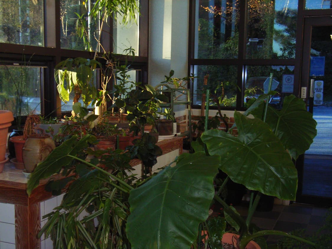 Ricoh Caplio R2 상품이미지5