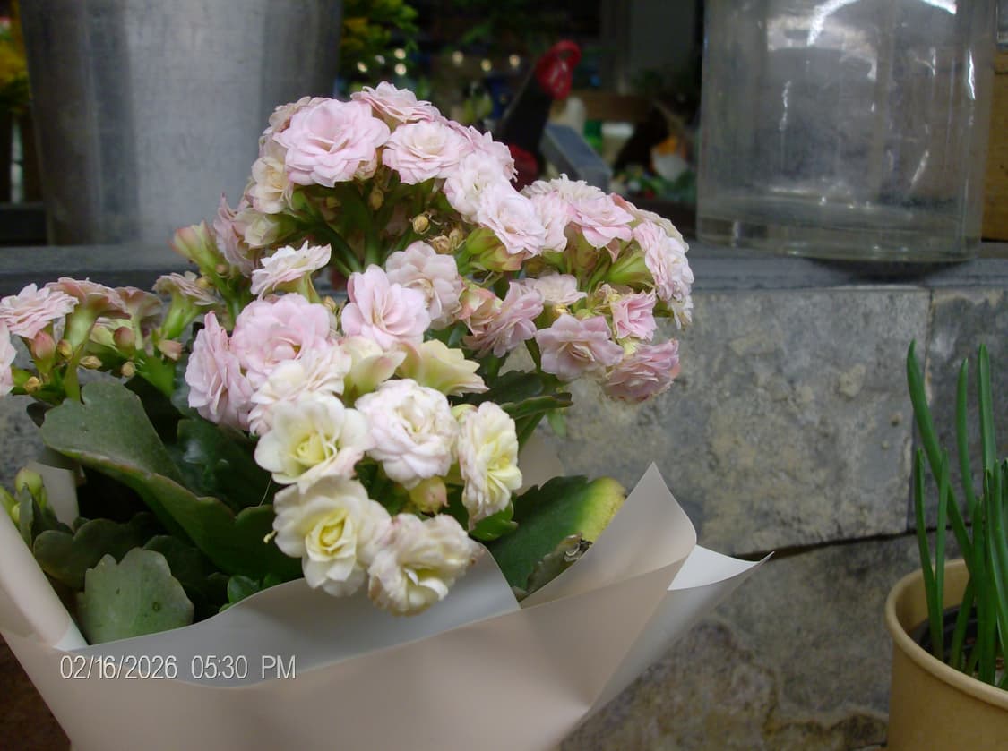 HP 포토스마트 Photosmart M447 실버 디카 상품이미지7