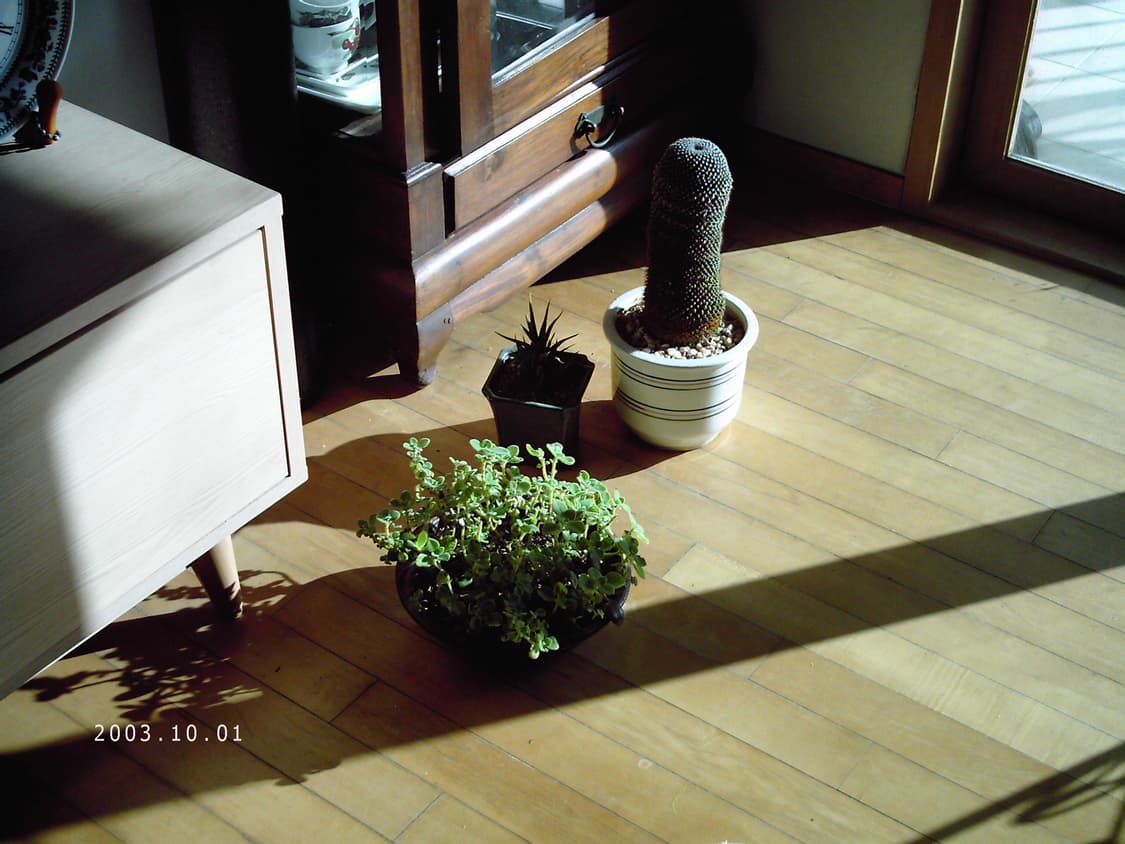 (작례 O) 폴라로이드 a500 디지털카메라 디카 상품이미지8