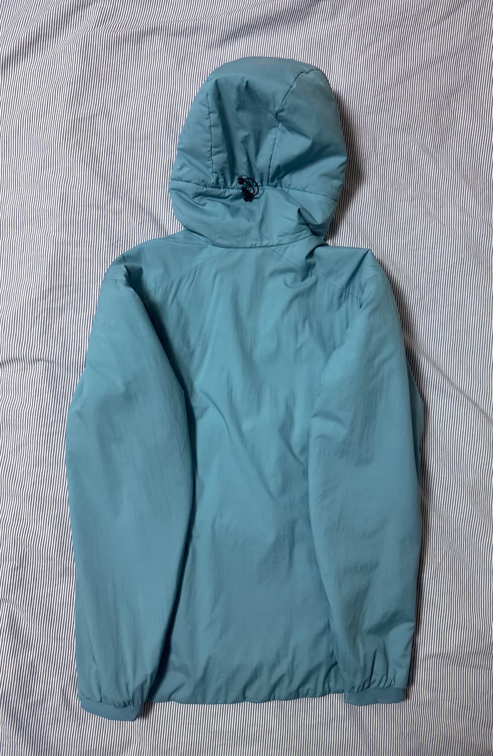 (SS급) 아크테릭스 아톰 LT 후디 솔레스 상품이미지4