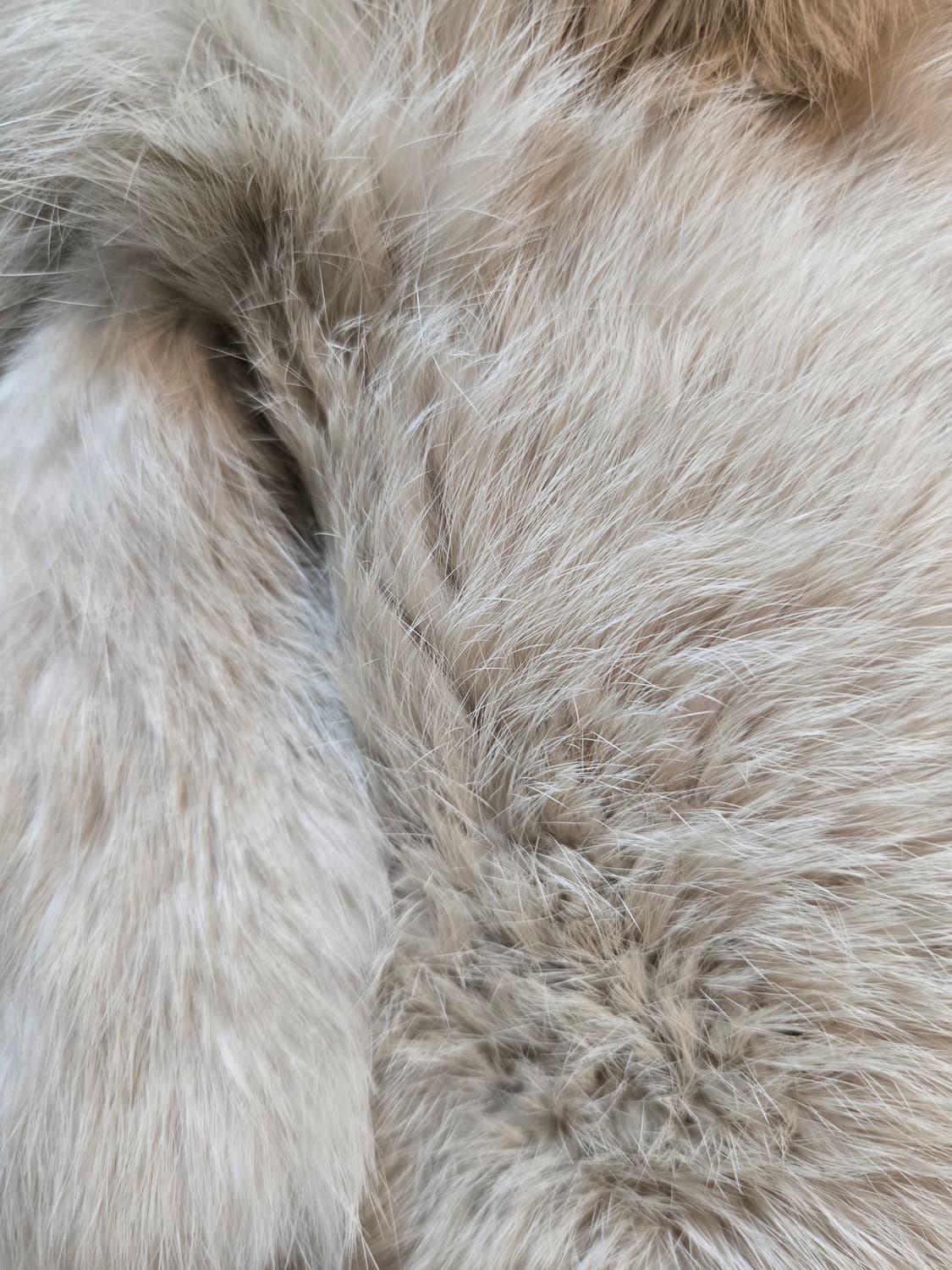 미사용급 Salvatore Ferragamo 라팽 퍼 머플러｜실크 안감｜ 상품이미지2