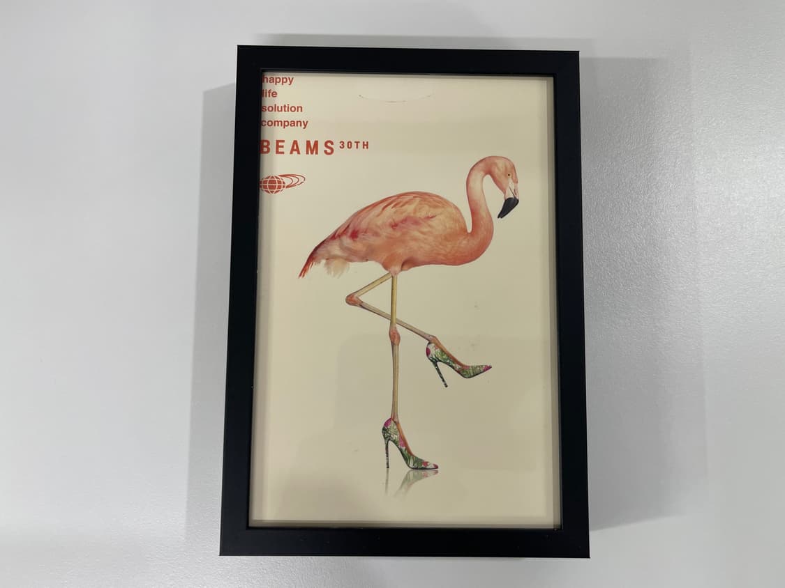 빔즈 30주년 기념 한정 아트 포토 Beams AD2006 상품이미지1