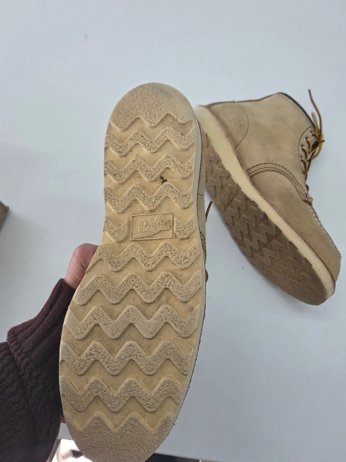 레드윙 8173 9d 270사이즈 상품이미지4