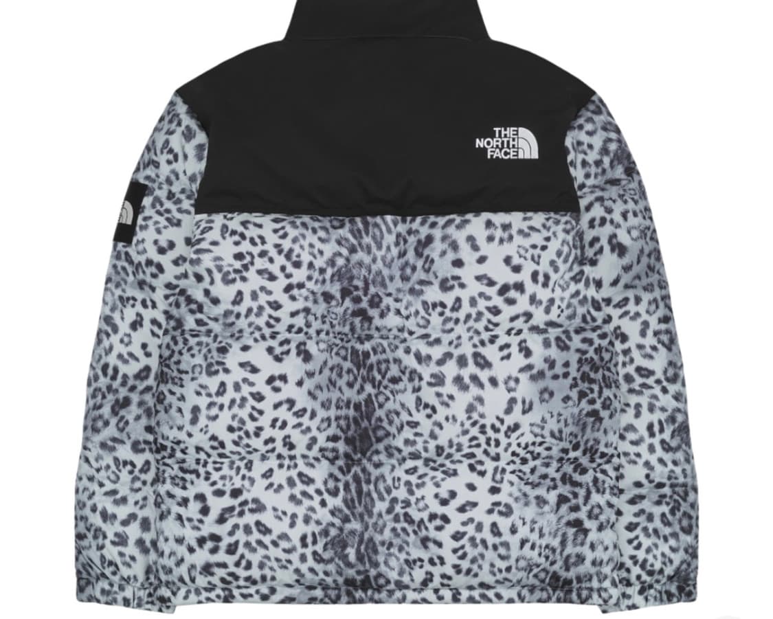 노스페이스 화이트 라벨 노벨티 눕시 다운 자켓 프린트 실버(M) 상품이미지2